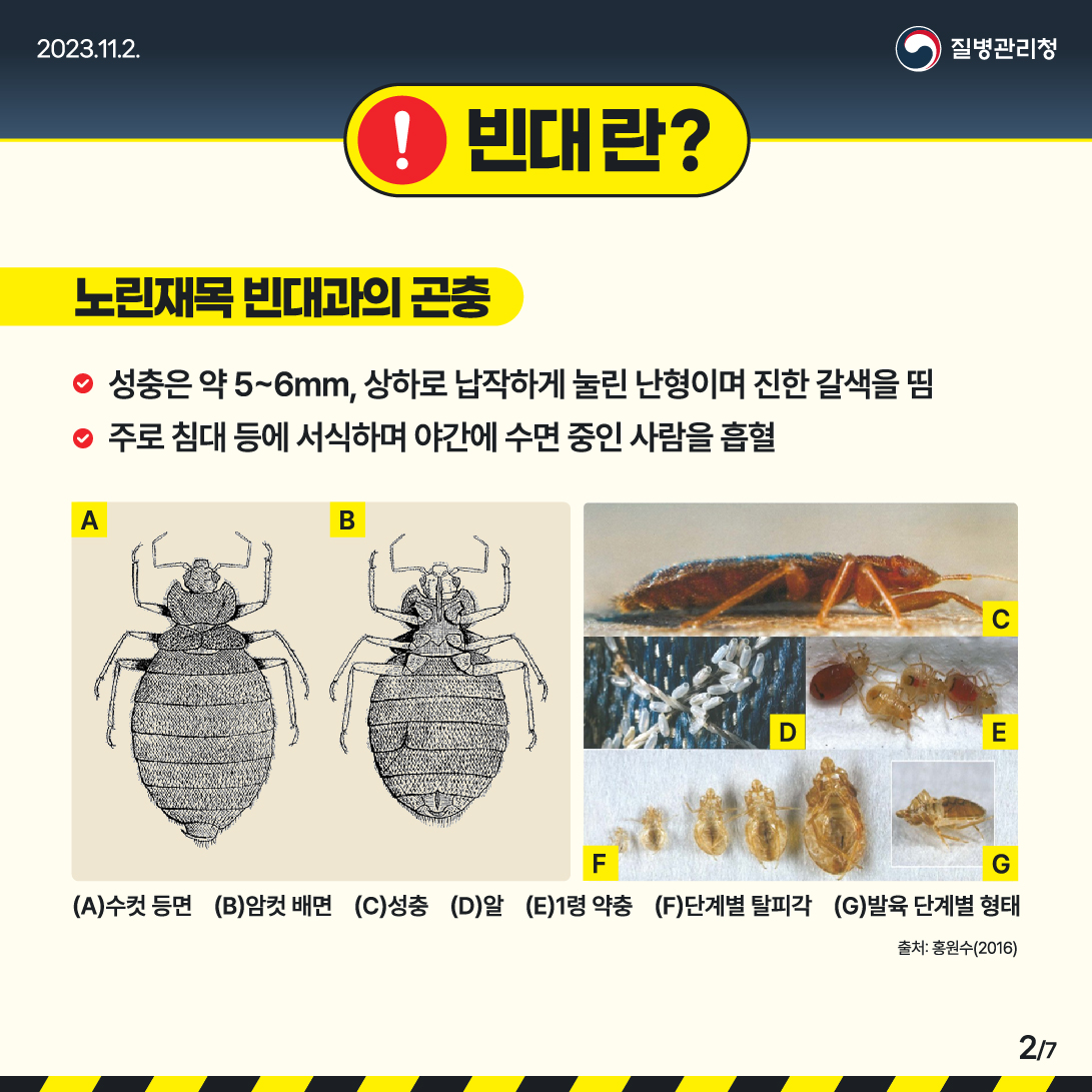 빈대예방수칙 및 빈대정보집 안내 이미지 2