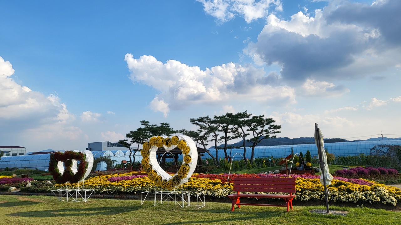 서리를 이기고 핀 국화가 가득한, “휴(休) 자연치유정원”인기 이미지 2