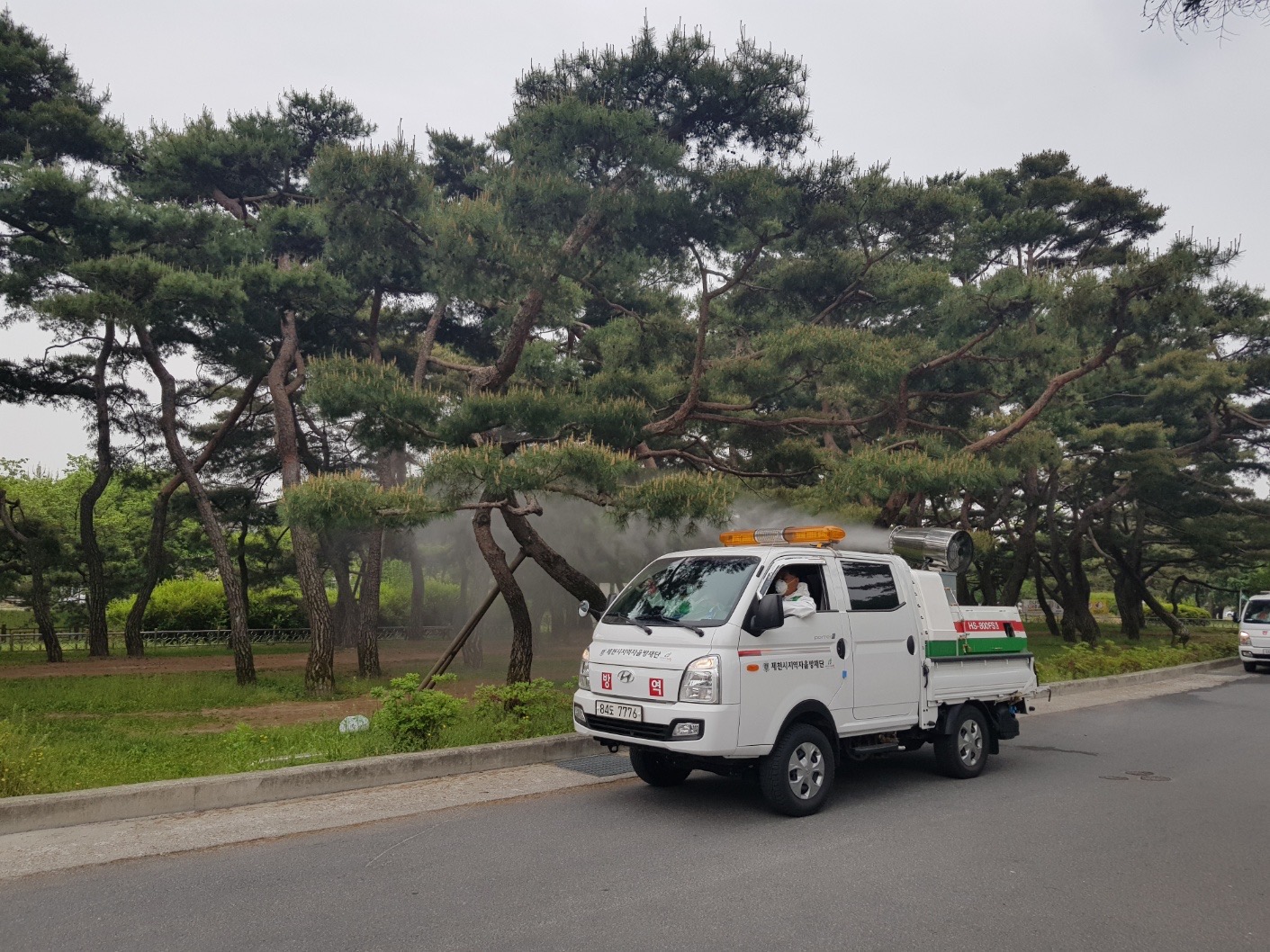 제천시 지역자율방재단 병해충 방제 실시 이미지 2