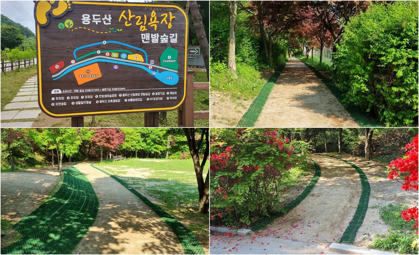 용두산 산림욕장 맨발숲길 조성 이미지