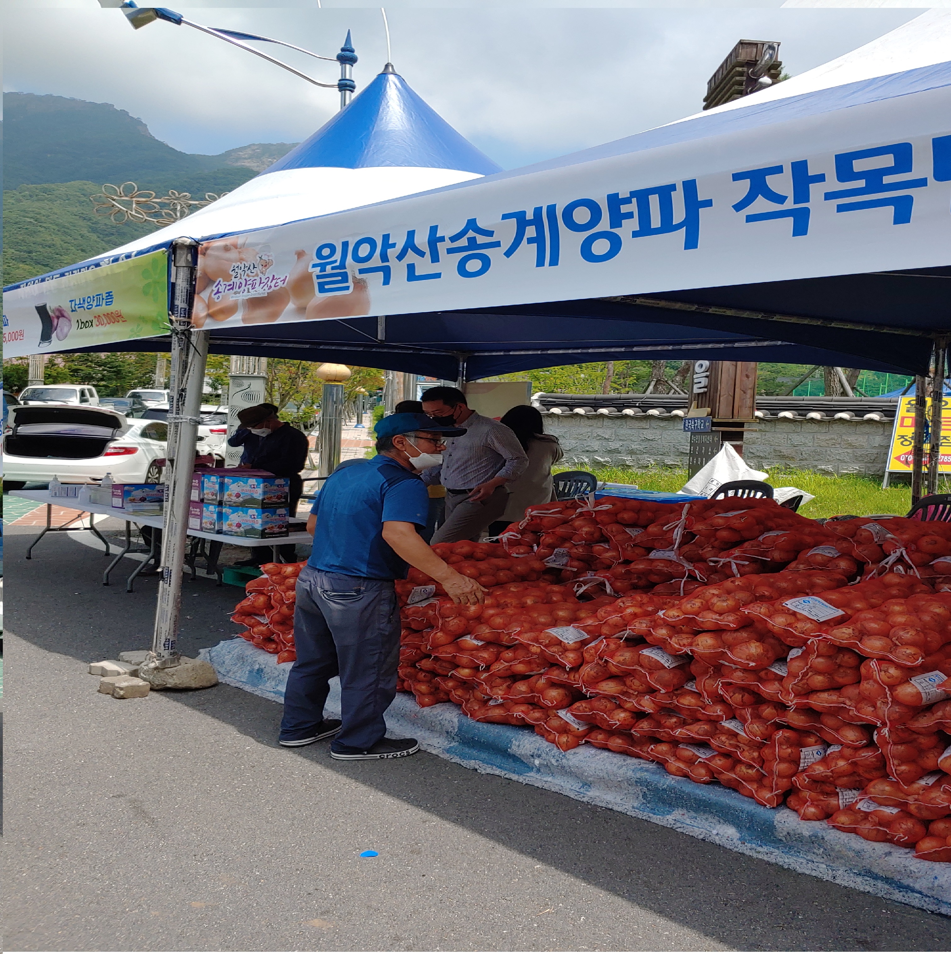 2021년 양파 직거래장터