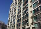 제97주년 3.1절 용두동 관내 태극기 게양 모습 이미지