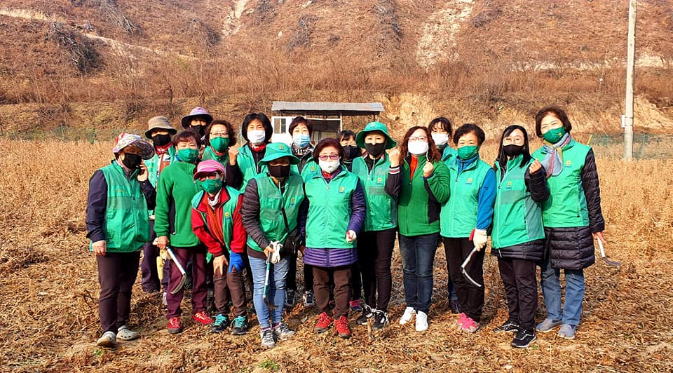 신백동 새마을부녀회 농가 일손돕기 참여 이미지 1