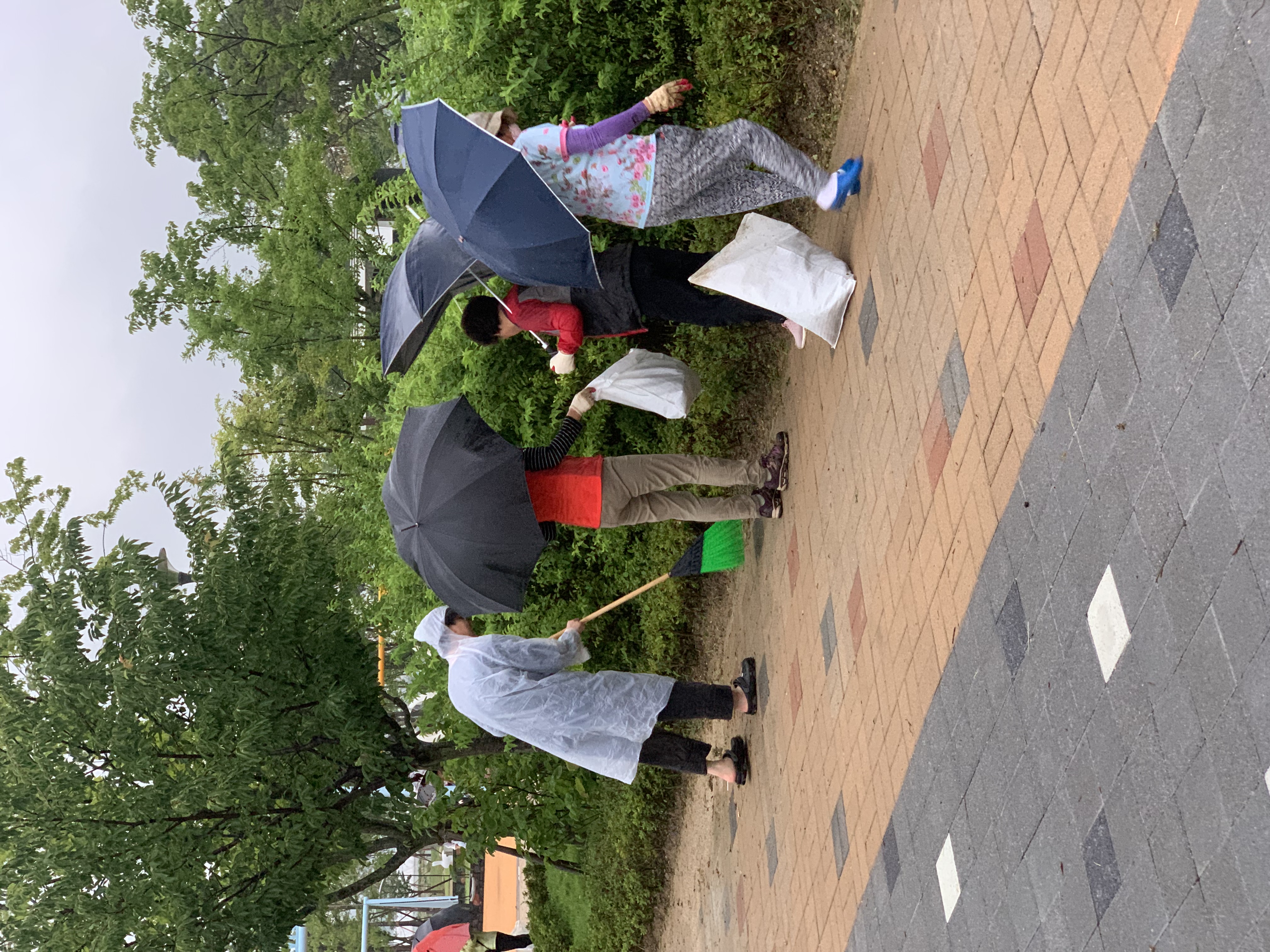 청전동통장협의회 삼한의초록길 제초작업