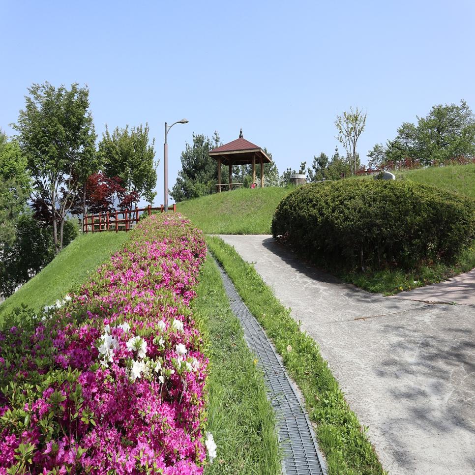 쭉 만개한 수도산 도시숲