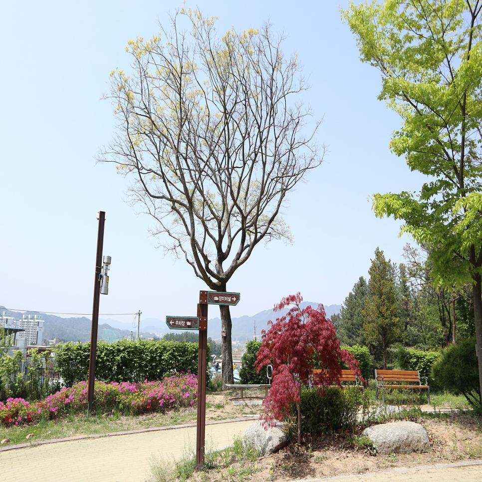 제천 시민공원 봄날산책