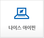 공공아이핀(I-PIN)
