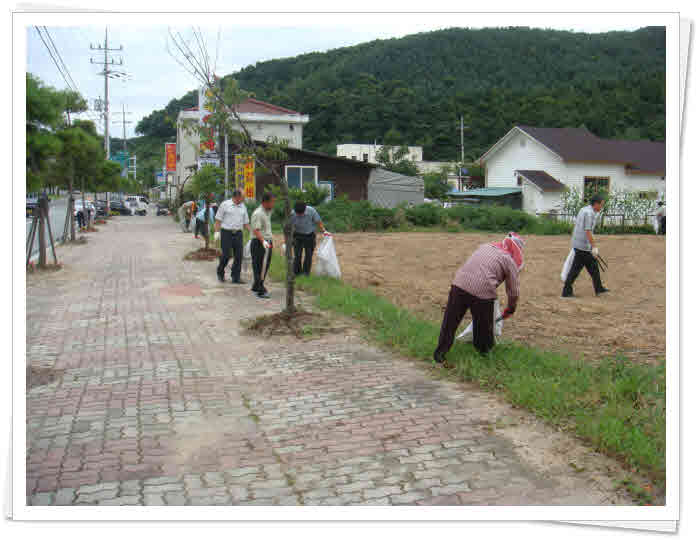 대한민국 만들기 청결의 날 대청소 이미지