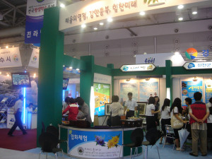 압화동아리 체험
