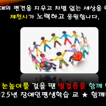 2025년 장애인전문문인력역량강화  썸네일