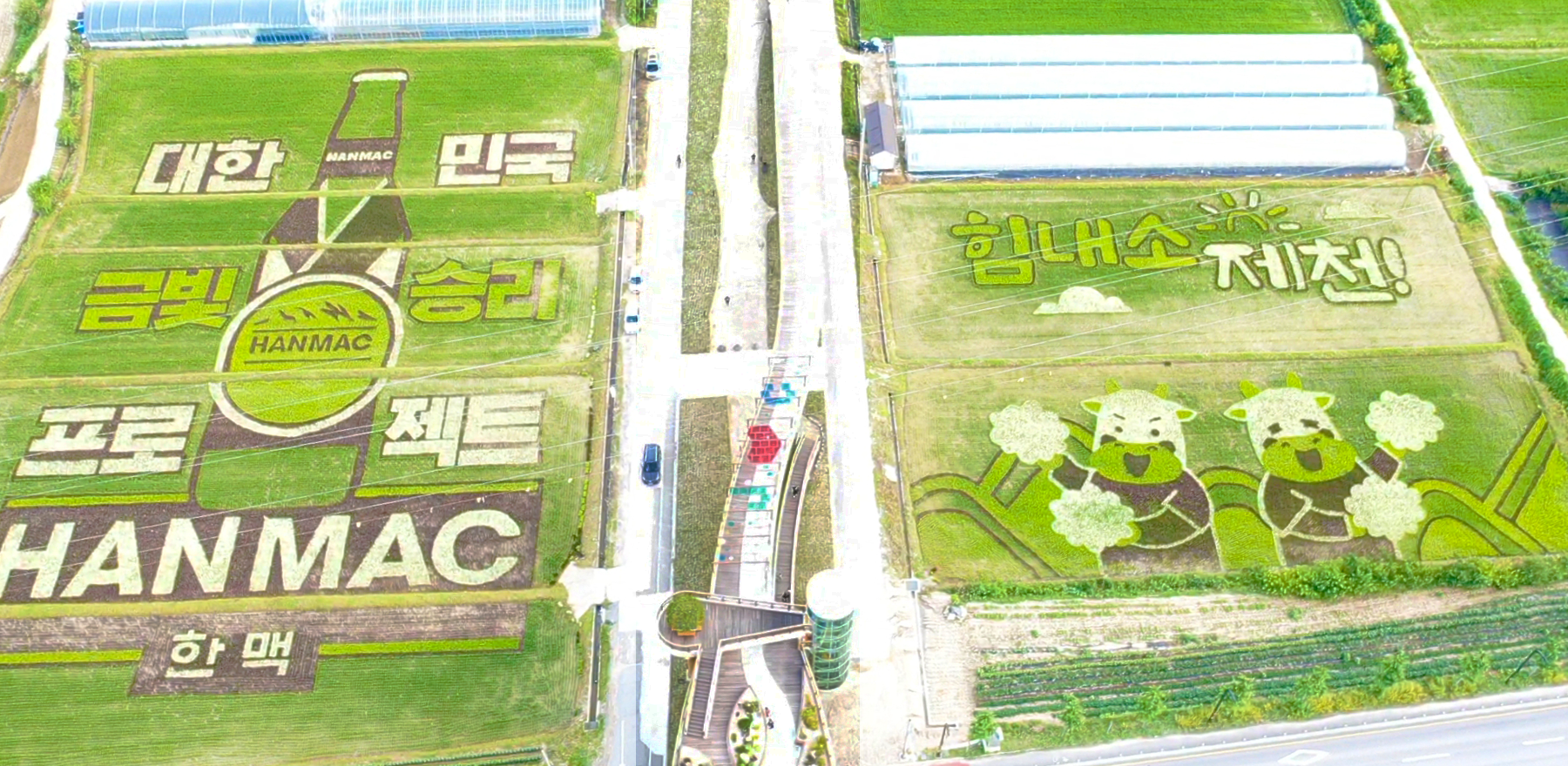 팜아트.png